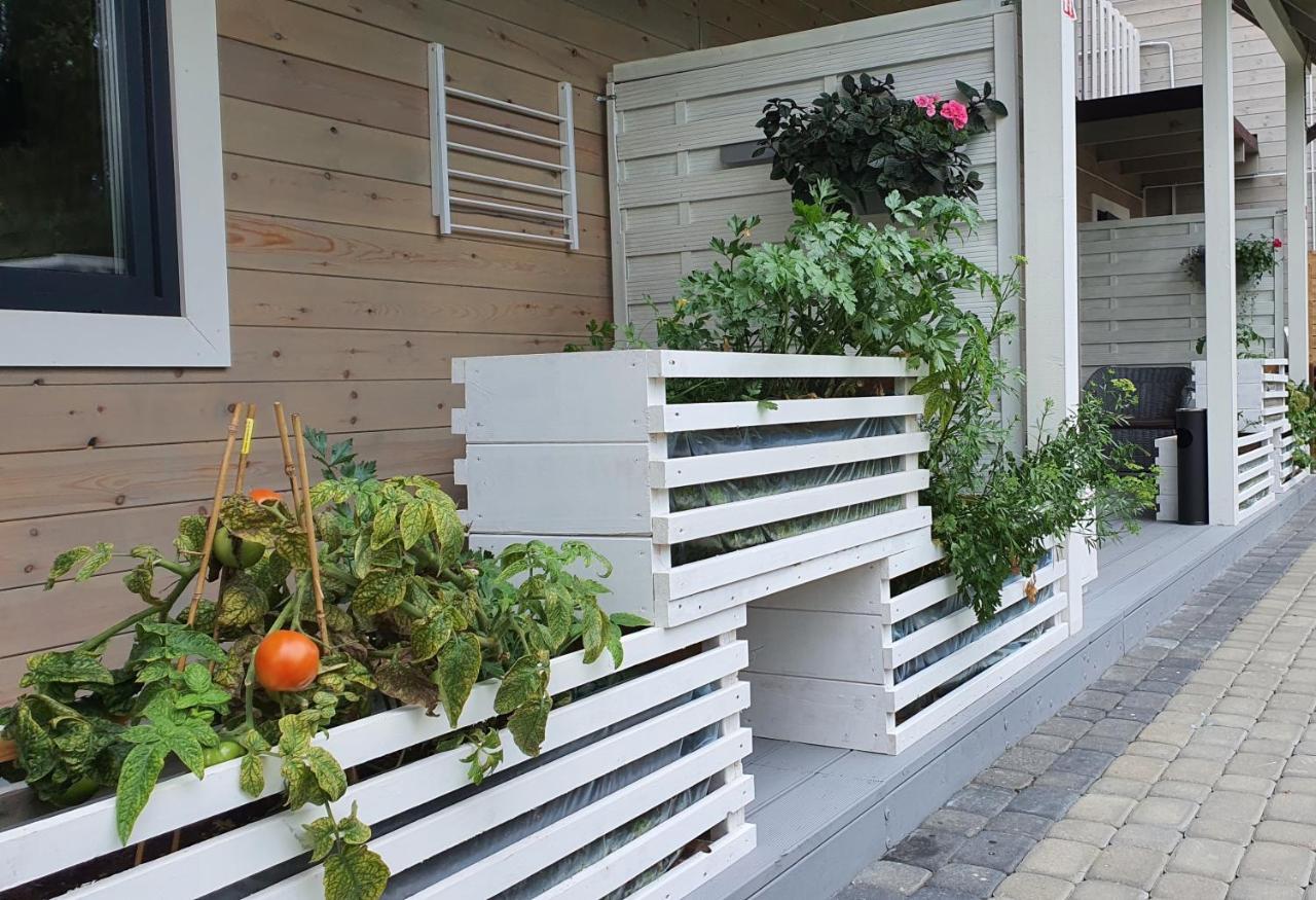 Ekosfera Pilawa Z Podgrzewanym Basenem Apartment Borne Sulinowo